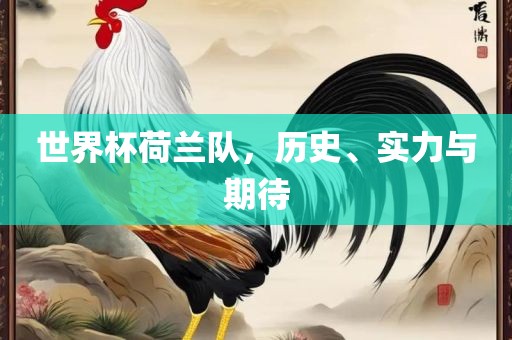 世界杯荷兰队，历史、实力与期待