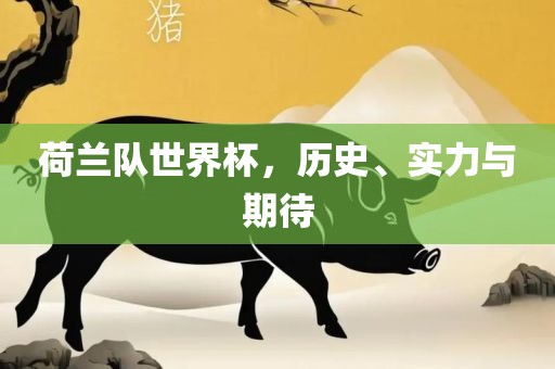 荷兰队世界杯，历史、实力与期待