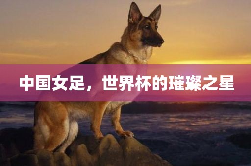 中国女足，世界杯的璀璨之星