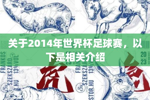 关于2014年世界杯足球赛，以下是相关介绍