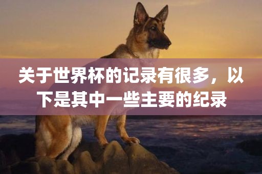 关于世界杯的记录有很多，以下是其中一些主要的纪录