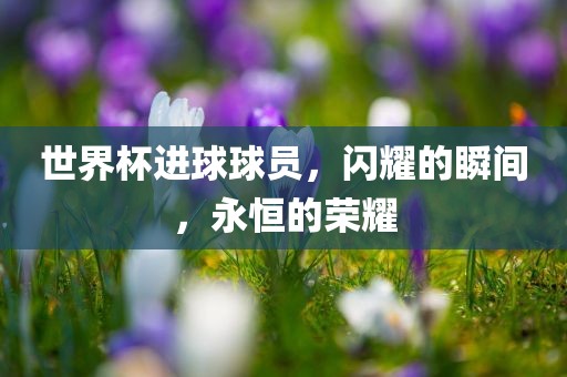 世界杯进球球员，闪耀的瞬间，永恒的荣耀