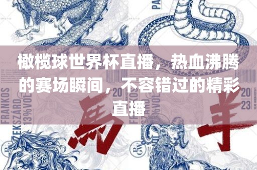橄榄球世界杯直播，热血沸腾的赛场瞬间，不容错过的精彩直播