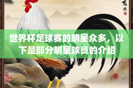 世界杯足球赛的明星众多，以下是部分明星球员的介绍