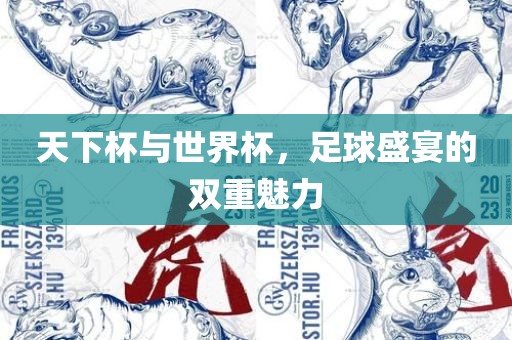 天下杯与世界杯，足球盛宴的双重魅力