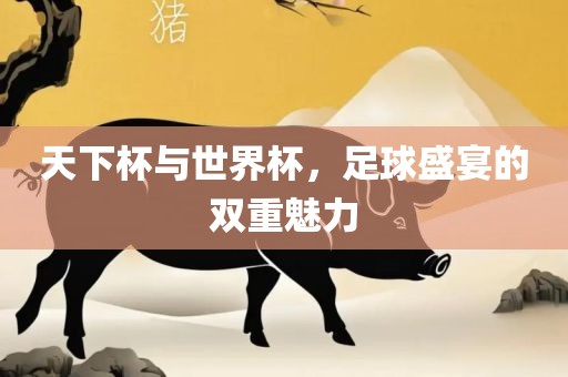 天下杯与世界杯，足球盛宴的双重魅力