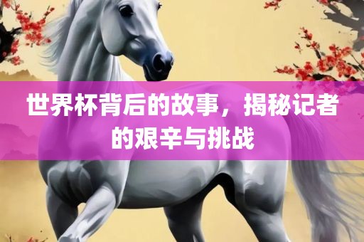 世界杯背后的故事，揭秘记者的艰辛与挑战
