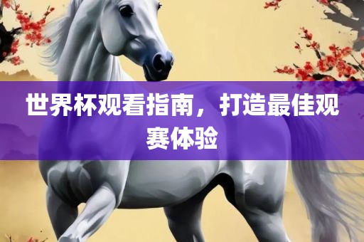 世界杯观看指南，打造最佳观赛体验