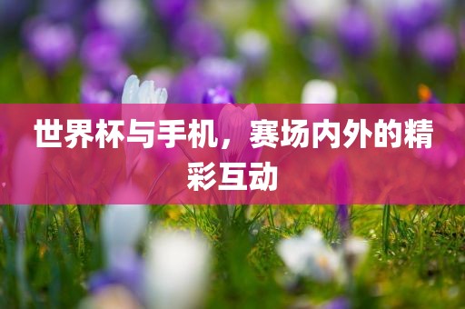 世界杯与手机，赛场内外的精彩互动