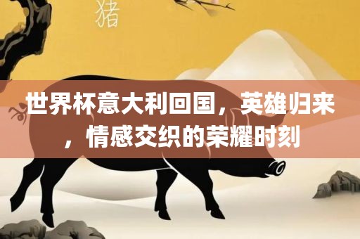 世界杯意大利回国，英雄归来，情感交织的荣耀时刻