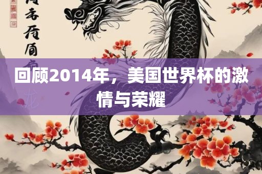 回顾2014年，美国世界杯的激情与荣耀