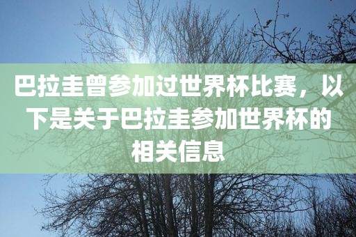 巴拉圭曾参加过世界杯比赛，以下是关于巴拉圭参加世界杯的相关信息