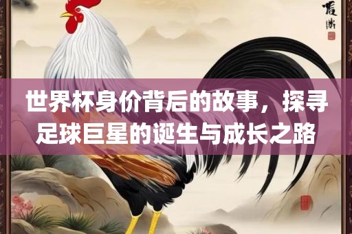 世界杯身价背后的故事，探寻足球巨星的诞生与成长之路