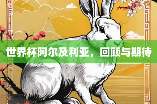 世界杯阿尔及利亚，回顾与期待