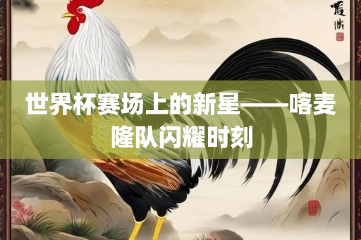 世界杯赛场上的新星——喀麦隆队闪耀时刻