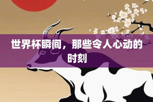 世界杯瞬间，那些令人心动的时刻