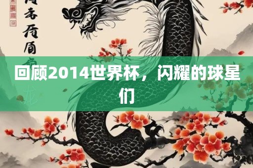 回顾2014世界杯，闪耀的球星们