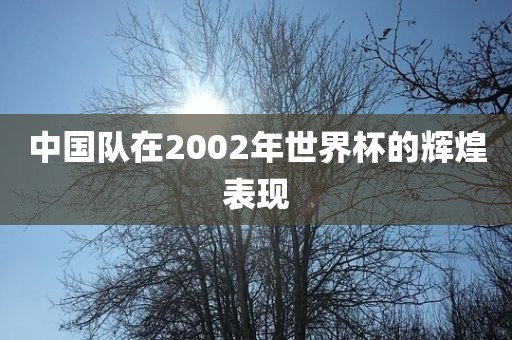 中国队在2002年世界杯的辉煌表现