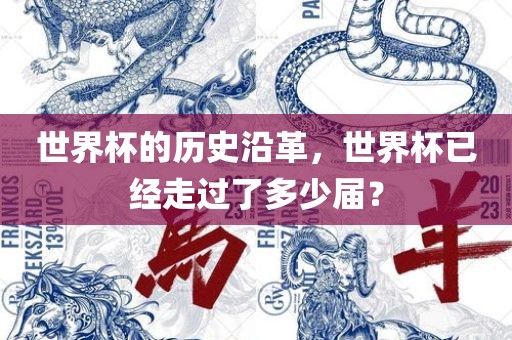 世界杯的历史沿革，世界杯已经走过了多少届？