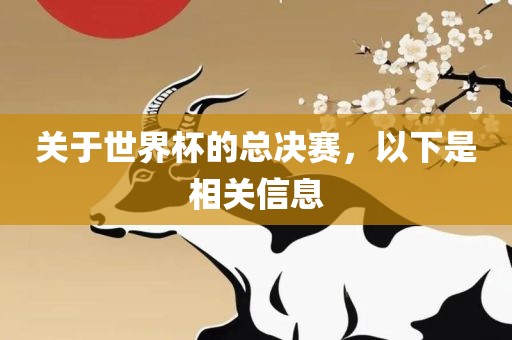 关于世界杯的总决赛，以下是相关信息