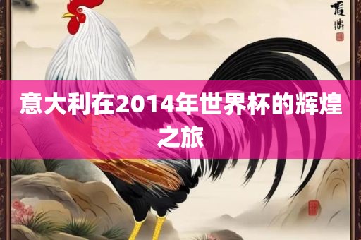 意大利在2014年世界杯的辉煌之旅