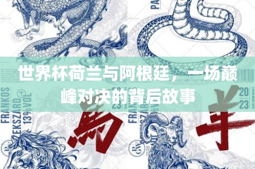 世界杯荷兰与阿根廷，一场巅峰对决的背后故事