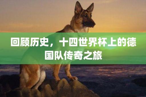 回顾历史，十四世界杯上的德国队传奇之旅