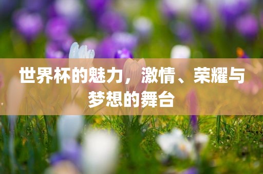 世界杯的魅力，激情、荣耀与梦想的舞台