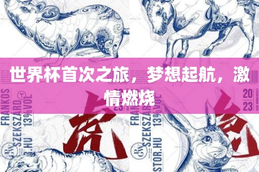 世界杯首次之旅，梦想起航，激情燃烧