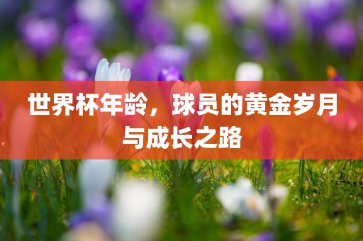 世界杯年龄，球员的黄金岁月与成长之路