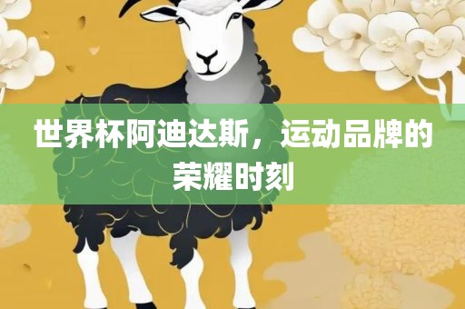 世界杯阿迪达斯，运动品牌的荣耀时刻