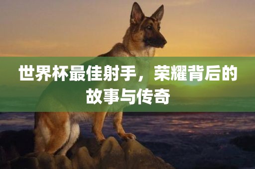世界杯最佳射手，荣耀背后的故事与传奇