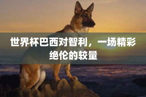 世界杯巴西对智利，一场精彩绝伦的较量