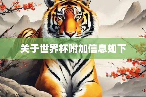 关于世界杯附加信息如下