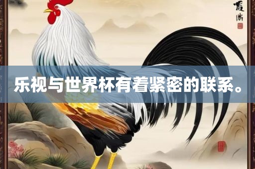 乐视与世界杯有着紧密的联系。
