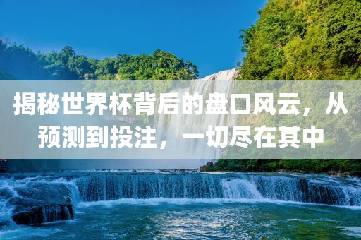 揭秘世界杯背后的盘口风云，从预测到投注，一切尽在其中