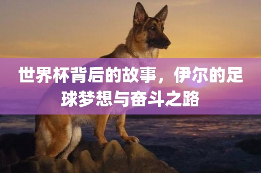 世界杯背后的故事，伊尔的足球梦想与奋斗之路