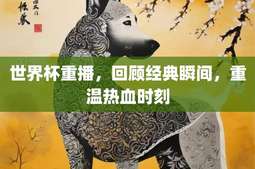 世界杯重播，回顾经典瞬间，重温热血时刻
