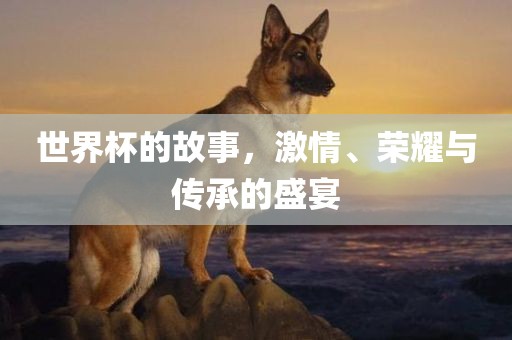 世界杯的故事，激情、荣耀与传承的盛宴