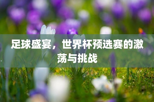 足球盛宴，世界杯预选赛的激荡与挑战