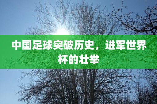 中国足球突破历史，进军世界杯的壮举