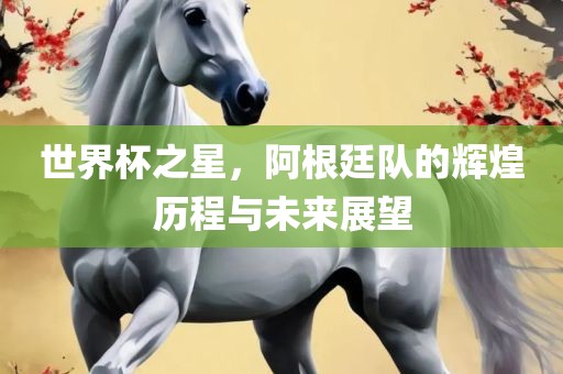 世界杯之星，阿根廷队的辉煌历程与未来展望