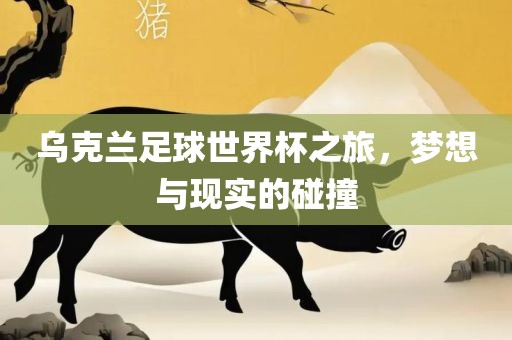 乌克兰足球世界杯之旅，梦想与现实的碰撞