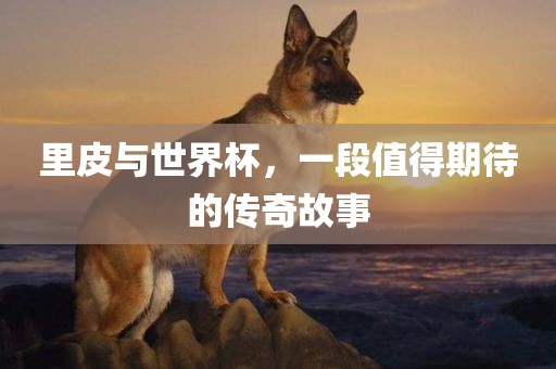 里皮与世界杯，一段值得期待的传奇故事