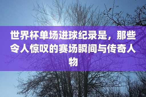 世界杯单场进球纪录是，那些令人惊叹的赛场瞬间与传奇人物