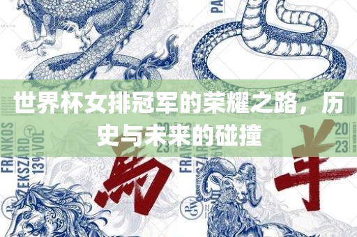 世界杯女排冠军的荣耀之路，历史与未来的碰撞