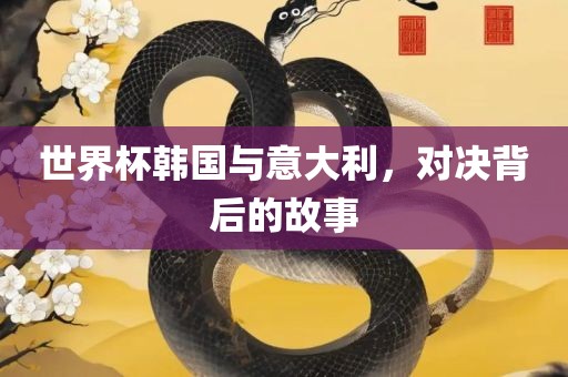 世界杯韩国与意大利，对决背后的故事