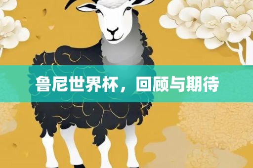 鲁尼世界杯，回顾与期待