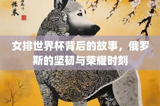 女排世界杯背后的故事，俄罗斯的坚韧与荣耀时刻