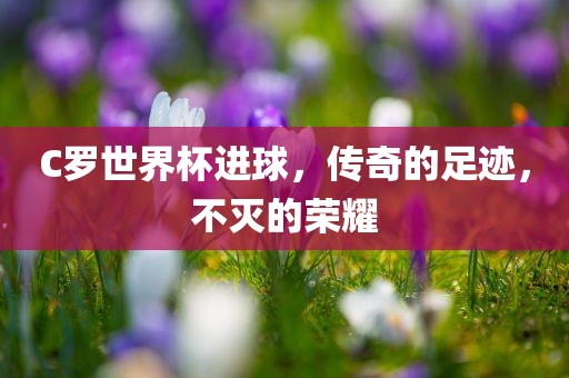 C罗世界杯进球，传奇的足迹，不灭的荣耀